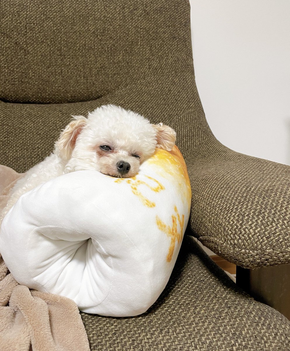 にこさん専用ページです。 見てーめっちゃかわいい🥰
