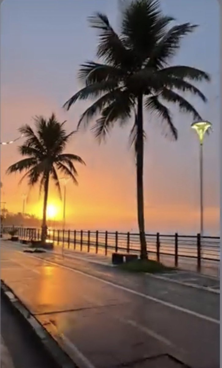Rose Sorro 🚩🚩🚩 tweet media