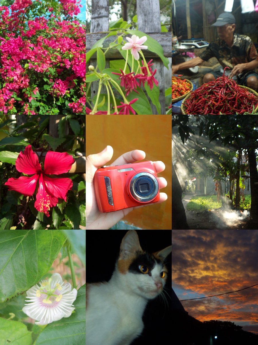 ansh | wts digicam tweet media