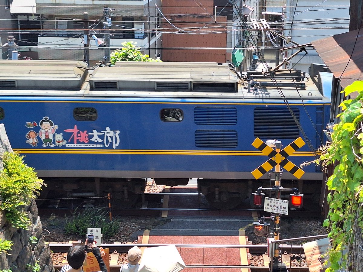 wohoeng's tweet photo. 番外編
尾道で、ロープウェイの山頂駅から階段で降りてきたら、ちょうど貨物列車🚃が通過。撮った写真を見返してみたら、桃太郎🍑が描かれていました！！ https://t.co/Cd0ikEB5Rh