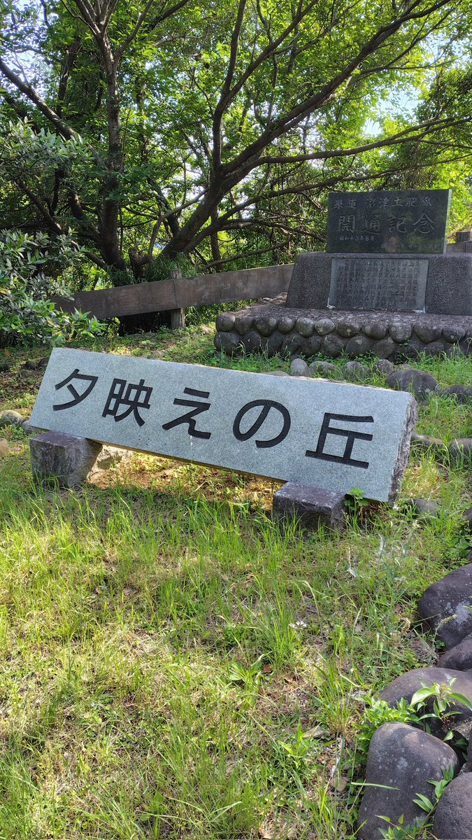 努🐾 tweet media