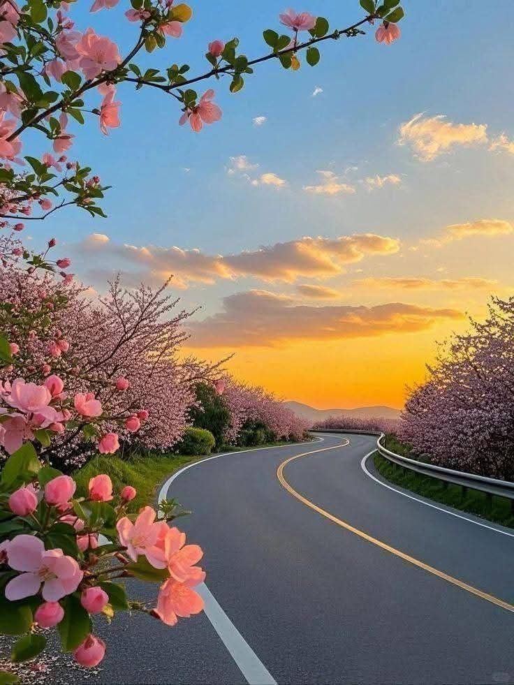 🦋Normi🎶🎵🎶💛🐈💛 tweet media