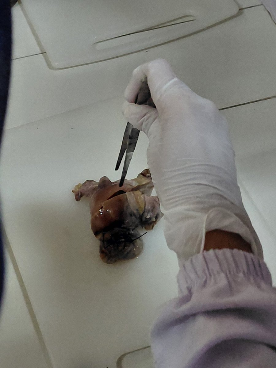 medlabstud_ tweet picture