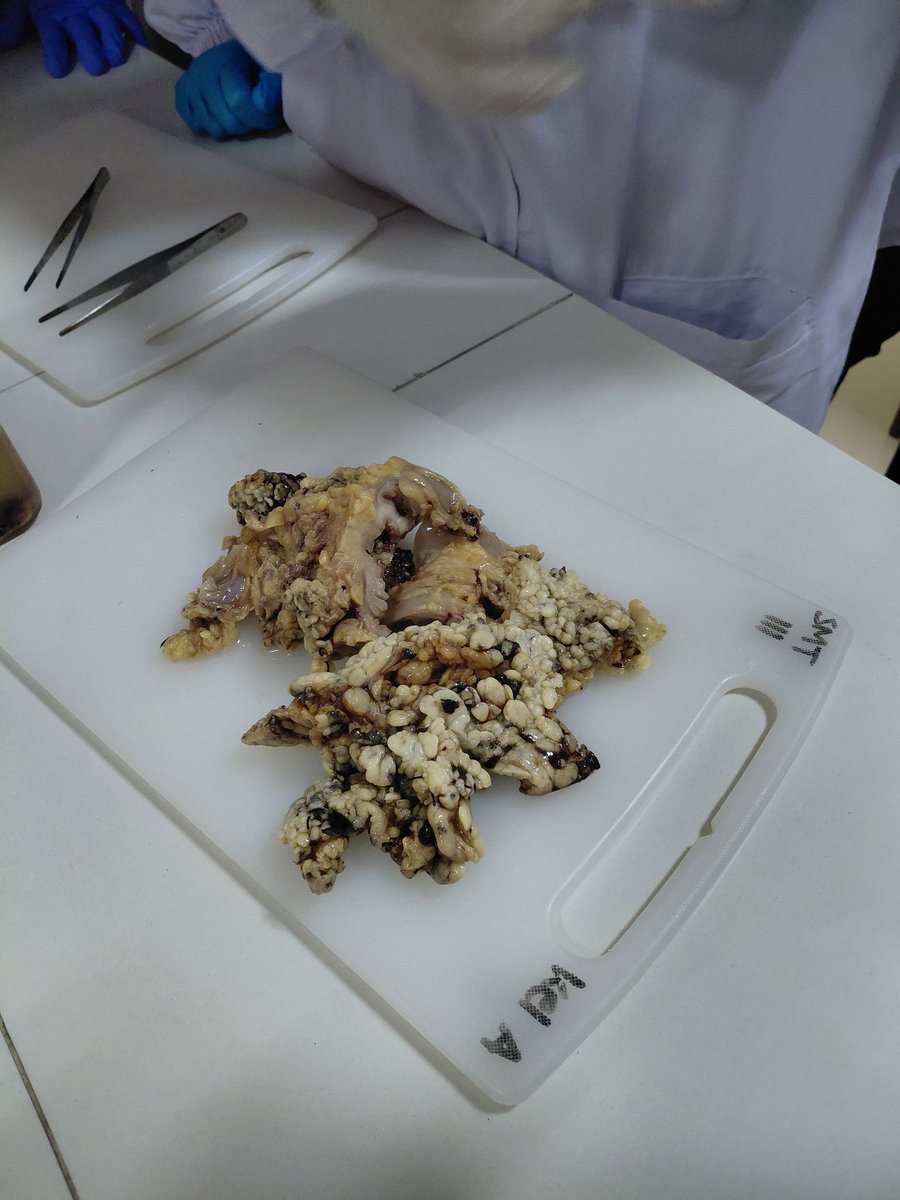 medlabstud_ tweet picture