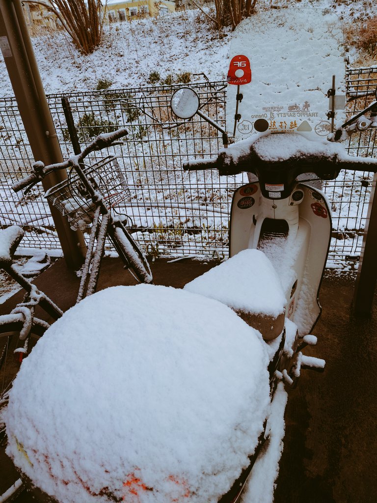 mame_jack_88's tweet photo. スーパーカブは前カゴ🛵と
リアボックス有るから荷物積載

ハンターより軽いし細身で町中は有利で風防とレッグシールドとナックルバイザー梅雨対策✋️

最近基礎整備して毎日乗ってます

今週末は🏕️ハンター乗ろうかな🫎🦌　
でも夏野菜達が🌱🌱🌱

今日草刈りも頑張った💃🌿 https://t.co/eMRUJrY5MU