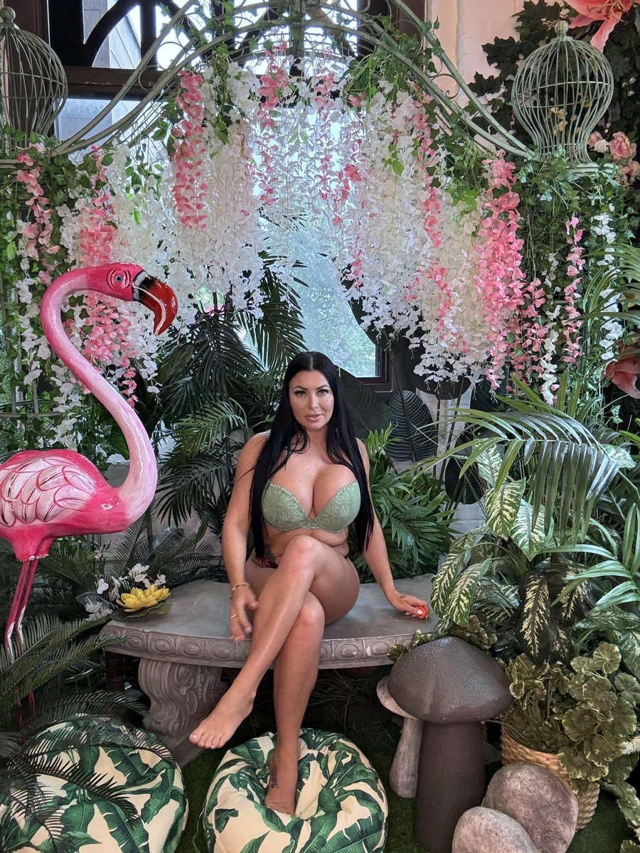 Stephanie M. tweet media