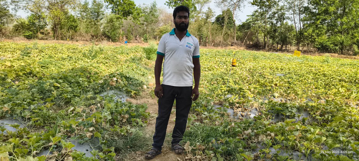 DIBAKARBAGRI's tweet photo. #पन्ना जारूआपुर किसान सुब्रत मालिक ने बदली राह अब chemical के डिपेंडेंसी को कम  nature postive intigrated farming का रुख करते हुए जैविक उत्पाद जीवामृत, घनजीवामृत, निर्मास्त्र, बायोवेस्ट डीकंपोजर जैसे  #समर्थनपन्ना https://t.co/UOeQyiwUTL