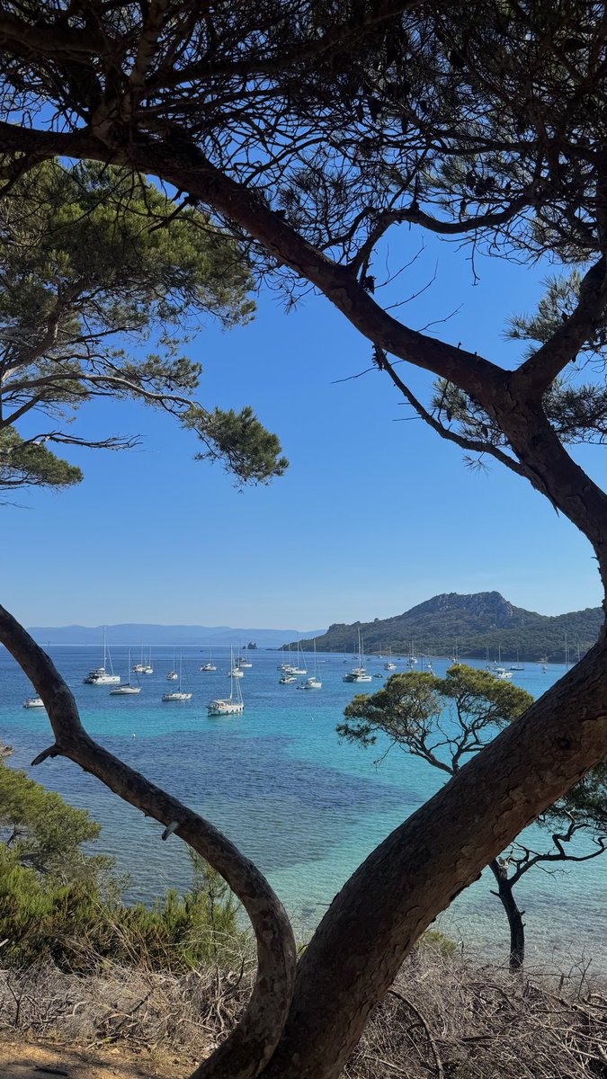 Alban 🇫🇷 tweet media
