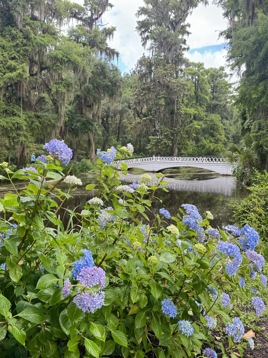 AroundCHS's tweet photo. Magnolia Plantation &amp; Gardens - Charleston, South Carolina https://t.co/K0ARvTyaCd
