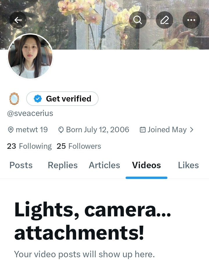 🪞 tweet media