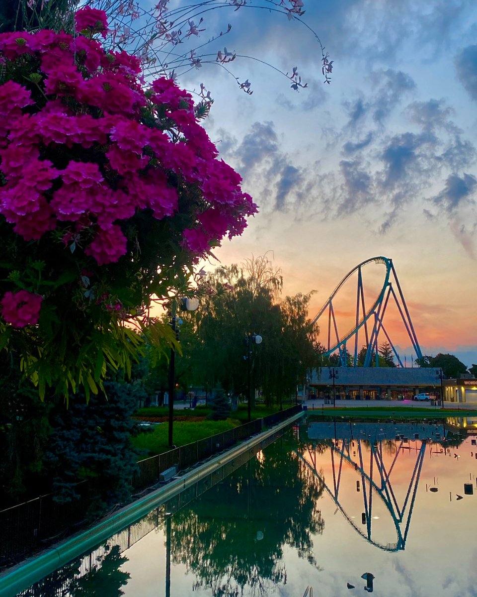 WonderlandNews's tweet photo. Even before the first ride of the day, the park still knows how to put on a show. ✨🎢 https://t.co/UQzZjTUGJt