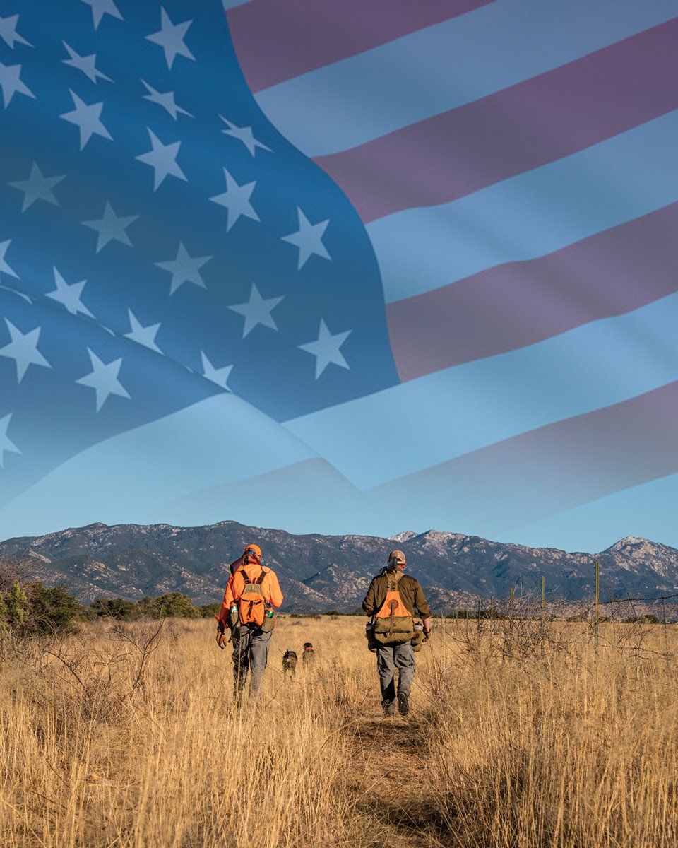 quail4ever's tweet photo. Today we pause to honor those who gave their lives in service to this great nation. We get to chase bird dogs from sea to shining sea because of their sacrifice. Thank you. https://t.co/UCvFGVH7Zr