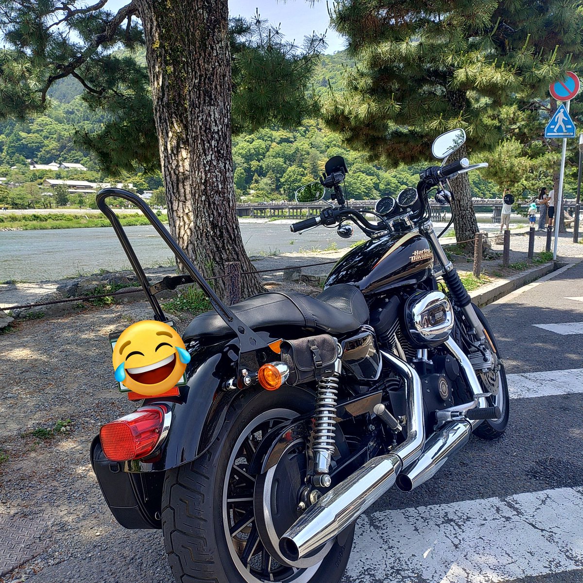 TETU25768423's tweet photo. なけなしの金をはたいて頼んでたSissy barがようやく良くして貰ってるバイク屋さんに届いて着いた\(^o^)/
着いてるだけで感じ変わった!コレで荷物くくって遠くへ行けるわ😙しかしもうすぐ鮎シーズン始まる😂
#HARLEY
#XL1200R
#デタッチャブル
#Sissybar https://t.co/iwd6or00U8