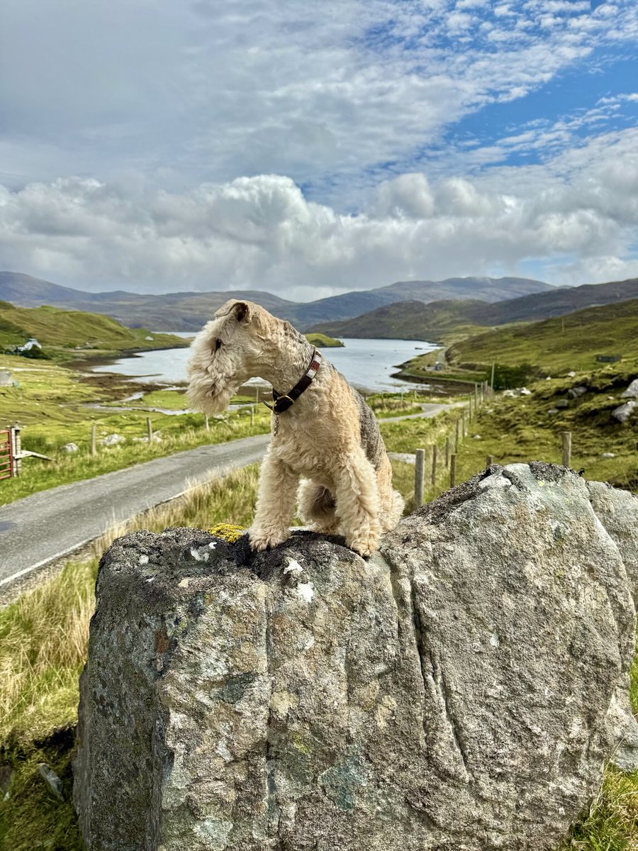 Bertie Lakeland tweet media