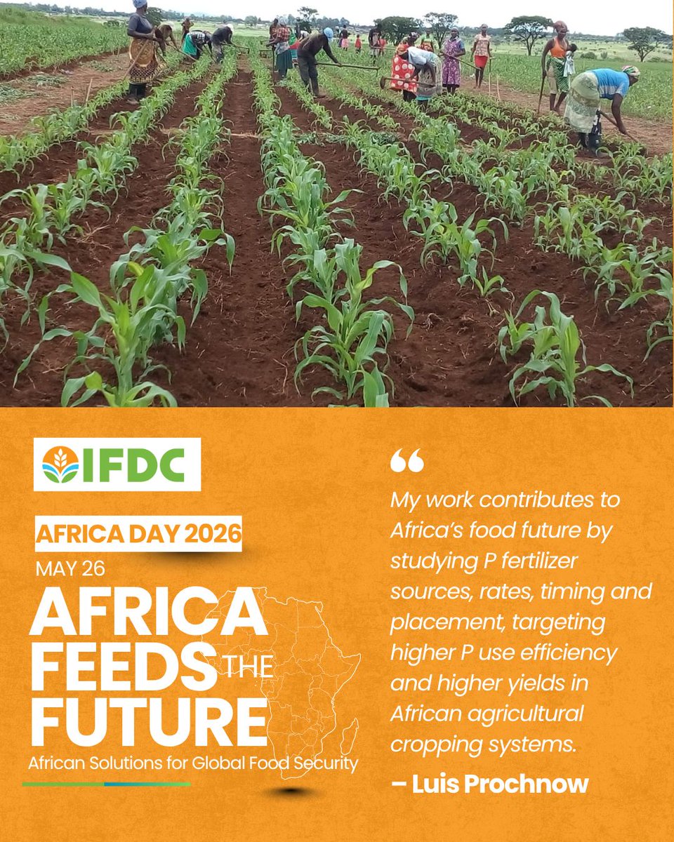 IFDCGlobal's tweet photo. 📸 Africa Day at IFDC!

Our colleagues across Africa are contributing to stronger food systems every day. https://t.co/G9CpiG10a0