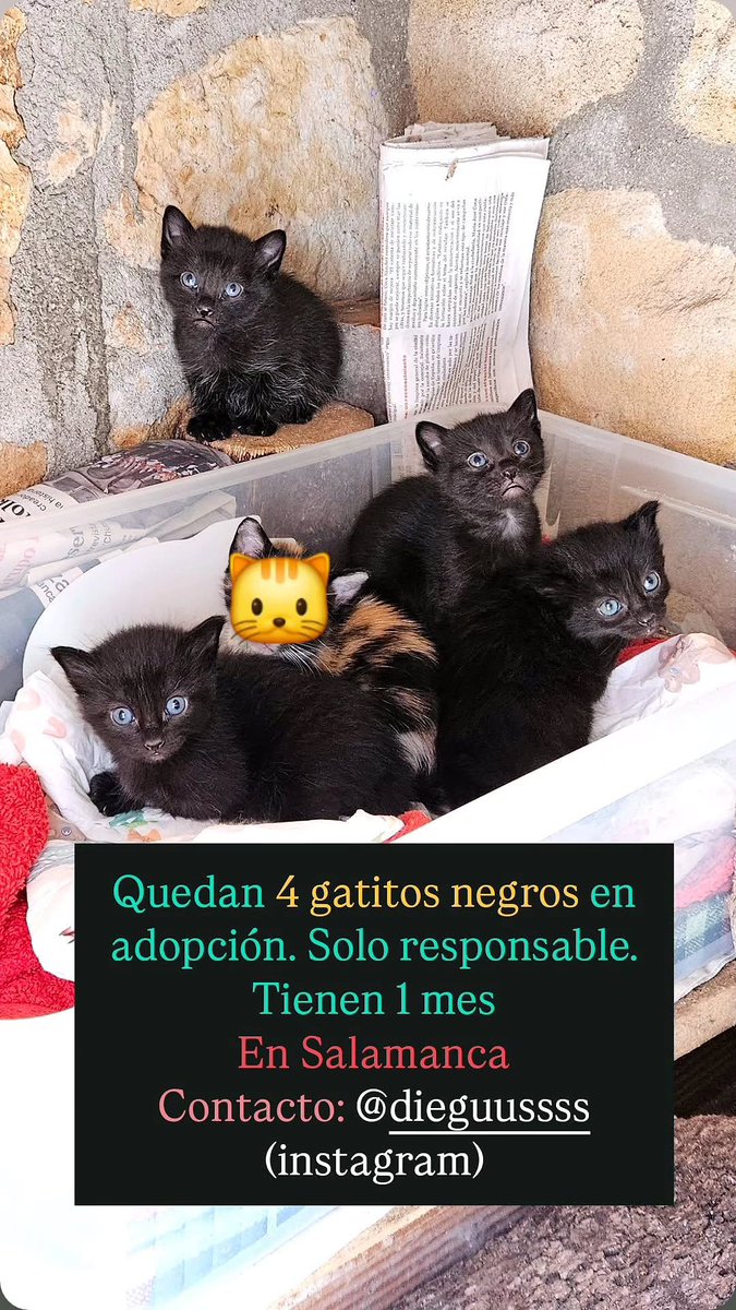 john_doe1237's tweet photo. VAMOOOSSS la gente buena de salamanca echen una mano 🆘🆘🆘🆘 URGENTE 🆘 🆘 🆘🙏🙏🙏🙏👇👇👇 https://t.co/Hxz5NZ4Jbt