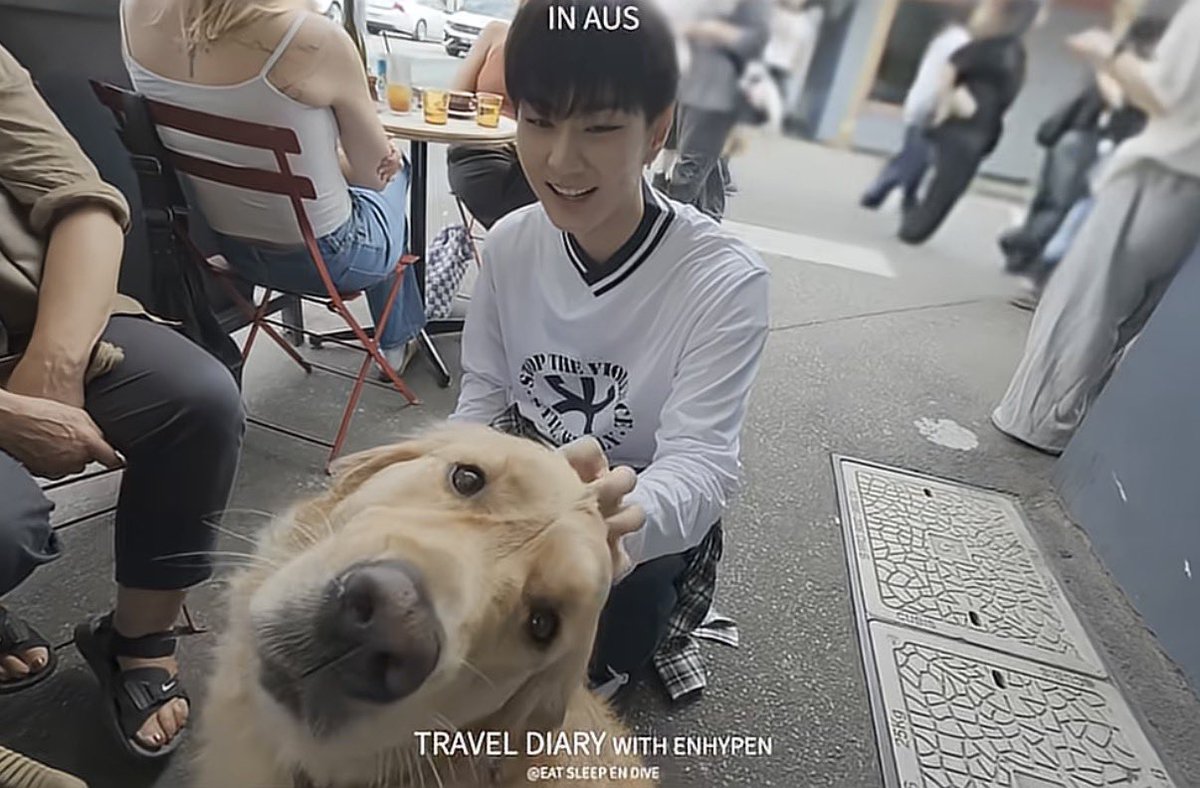 jungwon tweet media