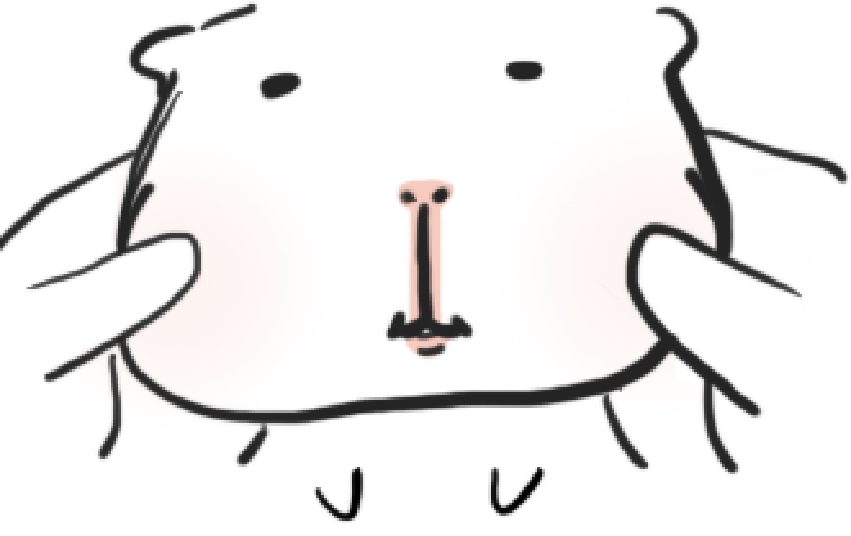 giniginiS2's tweet photo. 기니말랑이 https://t.co/83wwhmz1fU