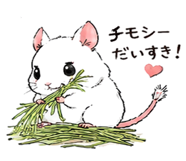 sidumaro's tweet photo. デグーちゃんのLINEスタンプ登場です💕「はーい！」「だいすき！」「おやすみなさい🌟」など
日常のLINEがもっとかわいくなります✨
大切な人へのLINEにぜひ使ってみてください😊
https://t.co/ocAhx0swpV
#LINEスタンプ #デグー #デグー好きと繋がりたい #うさぎ #小動物 #LINEスタンプ販売 https://t.co/RmDkf7lpf5