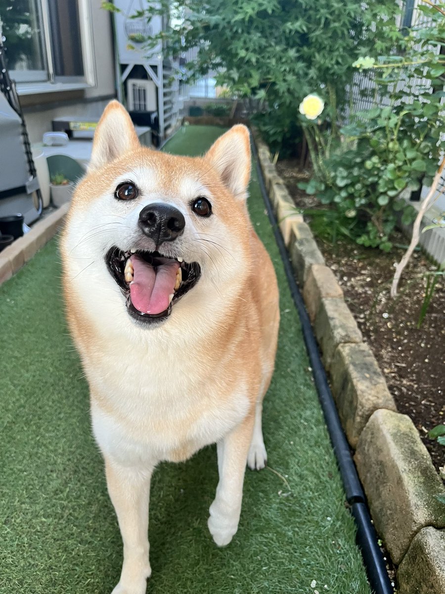 ✨おとちゃん✨ なにそのポーズ？🤣👂 #10歳 #0歳 #年の差姉妹 #年の差育児