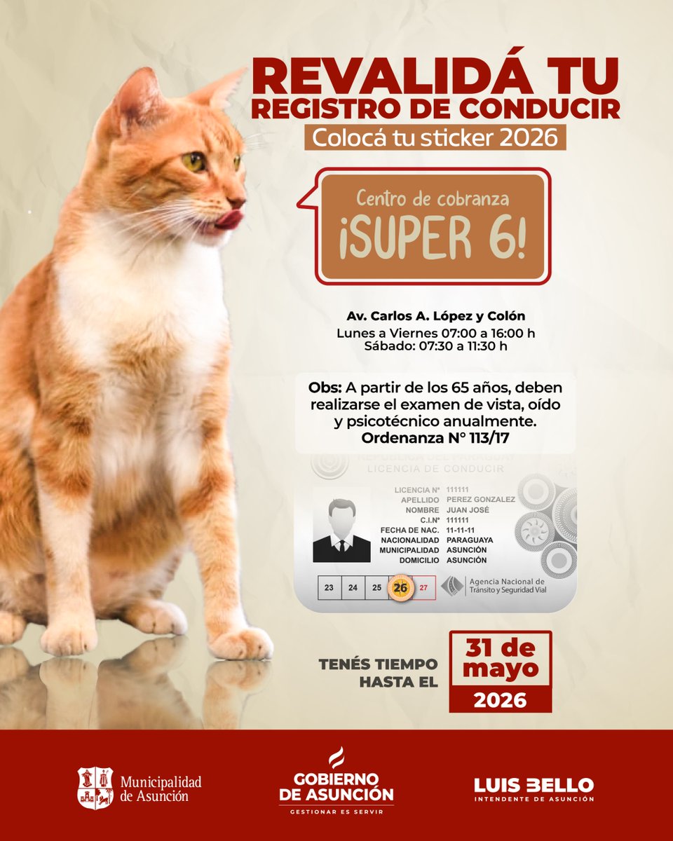 AsuncionMuni's tweet photo. #AsuInforma 🐈🪪

Sí vivís en el B° Carlos A. López o zonas cercanas, te recordamos que, en el Superseis, contás con un punto para revalidación de licencia, sin multas, hasta fin de mes. ⬇️ https://t.co/fIOjmbRmfx