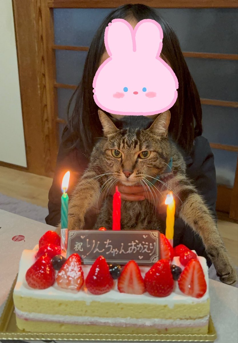 rin0505nya's tweet photo. お祝いのケーキいただきました✨️

5/5のりんさんの誕生日の日は
行方不明になってたので
遅めのりんさんの誕生日会にもなりました🎂
2枚目の「やれやれ、付き合ってやるか」が伝わってくる🤣😮‍💨笑

今年も一緒にいれることが幸せです🫶🤍

#猫がいる暮らし
#猫がいる幸せ
#猫好きさんと繋がりたい https://t.co/GOmPNqNDxx