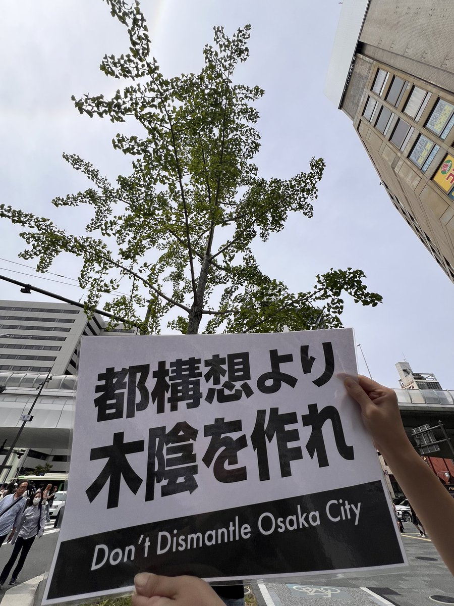JAPANARTLINK @shinaishoten 維新の大阪市議に、街路樹切らないで
