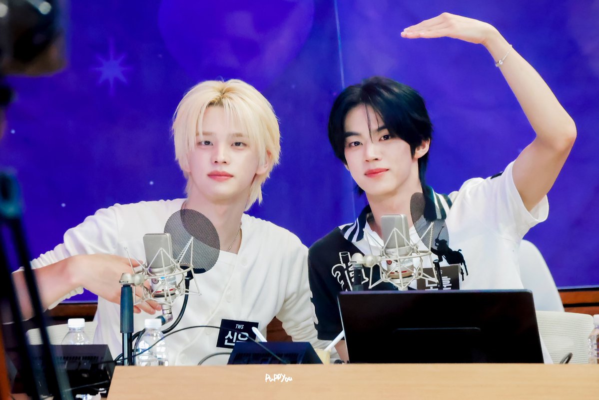 퍼피 tweet media