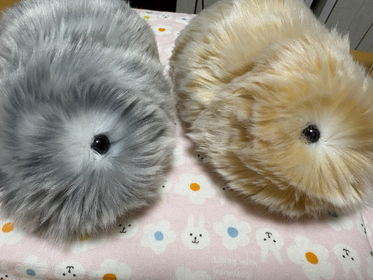 はちょりのきいろとおでん tweet media