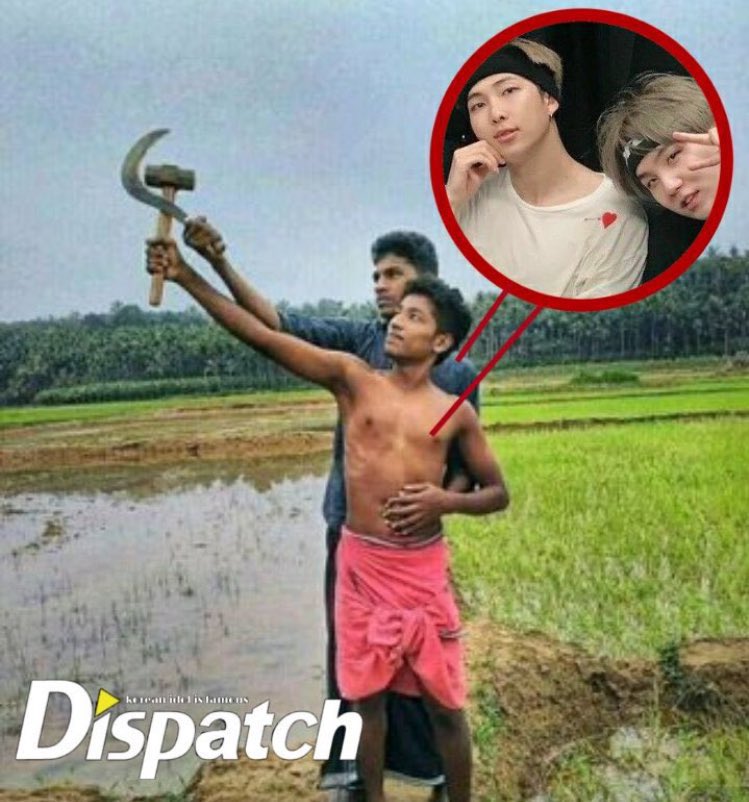 tristy tweet media