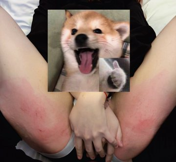 莓烦恼 tweet media