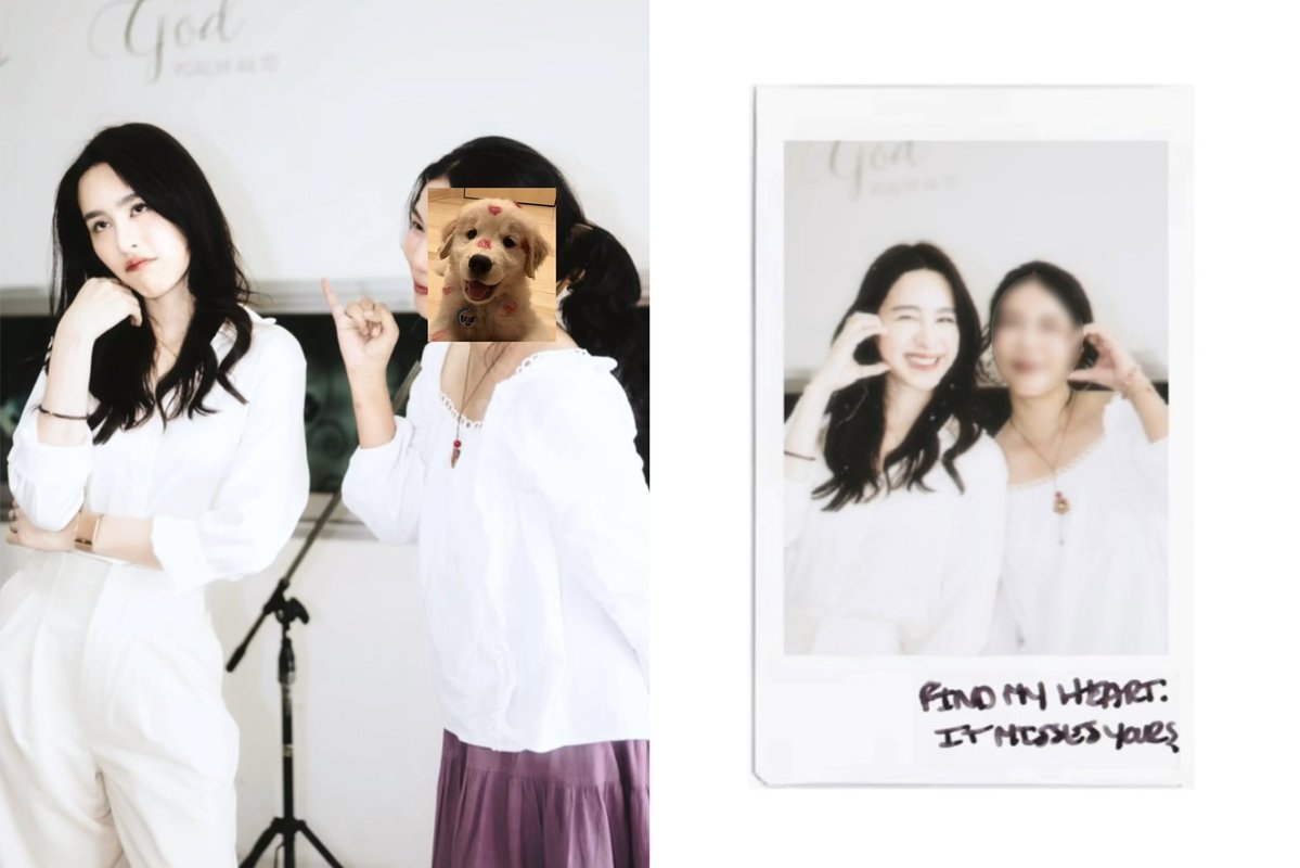 หมาจร tweet media