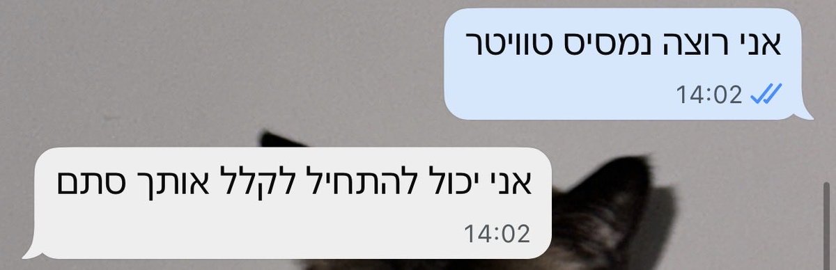 Yael tweet media