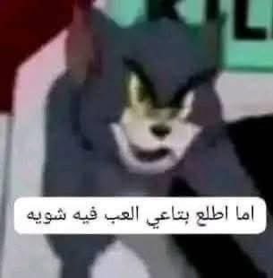 Nouraa tweet media