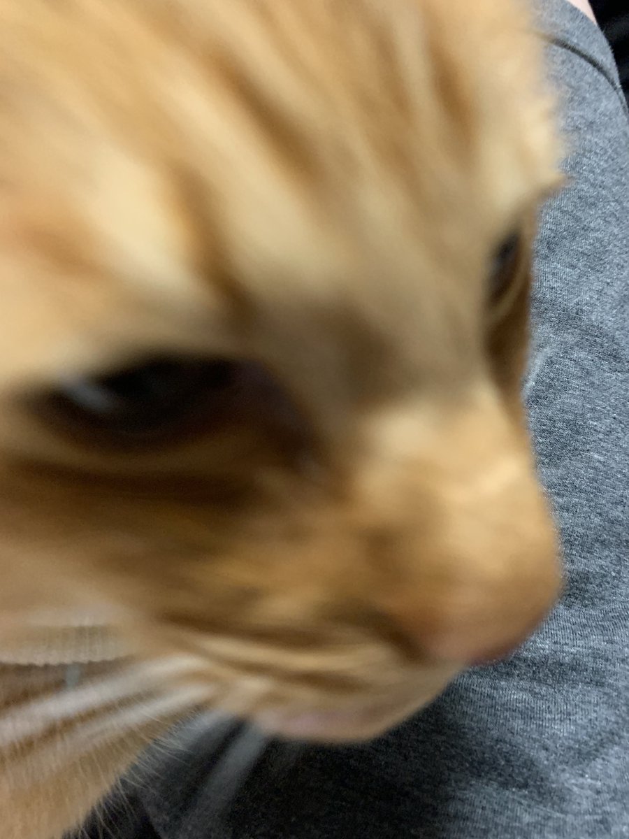 ちくわさん tweet media