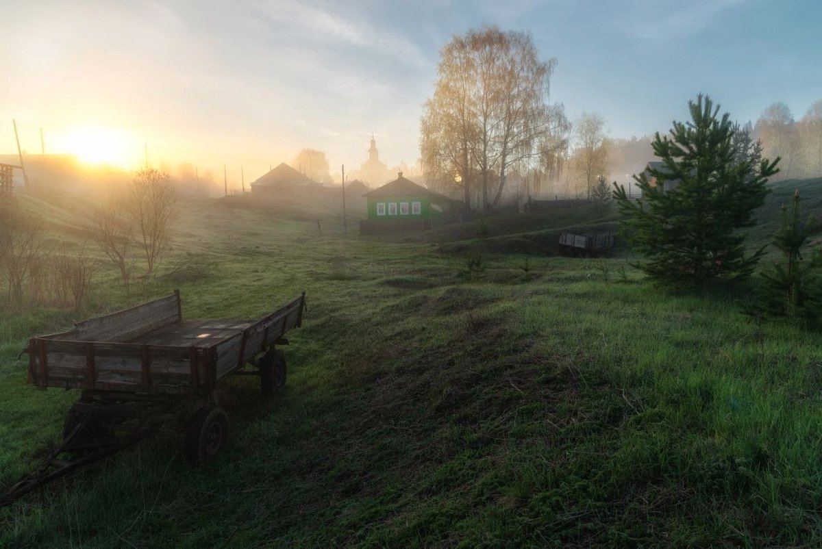 Alina Lipp tweet media
