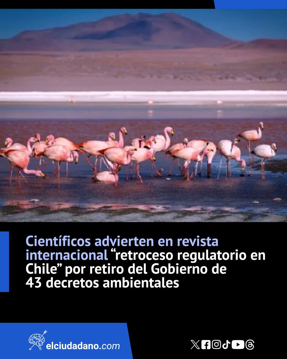 El Ciudadano tweet media