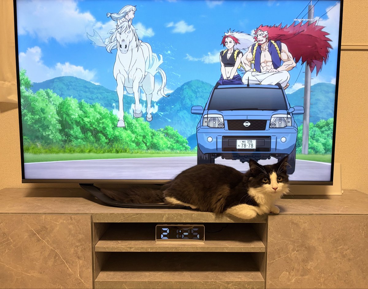 Post by Nyamu on X: じゃま