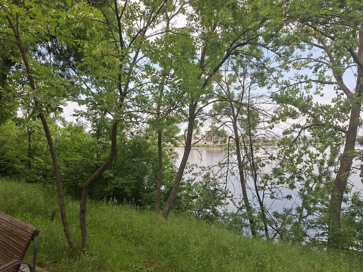 romania's tweet photo. Parcul Pantelimon, între farmecul unui spațiu natural de agrement și promisiunea unei modernizări urbane ample. https://t.co/PGKRDUcnQr