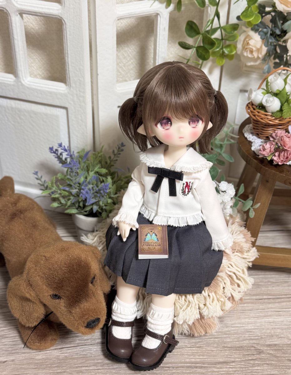 ぽー (@po_koinu) / Posts / X
