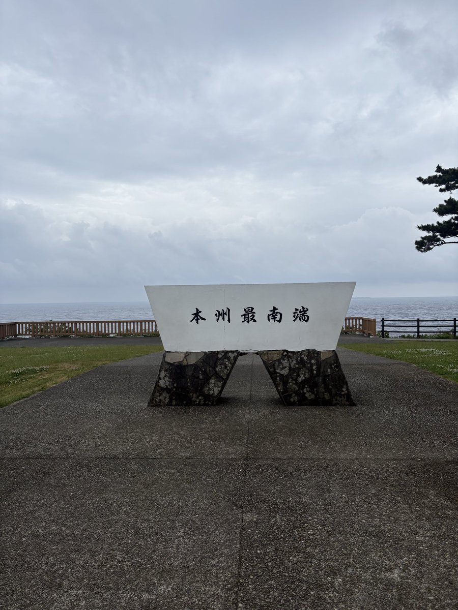 ライムグリーン tweet media
