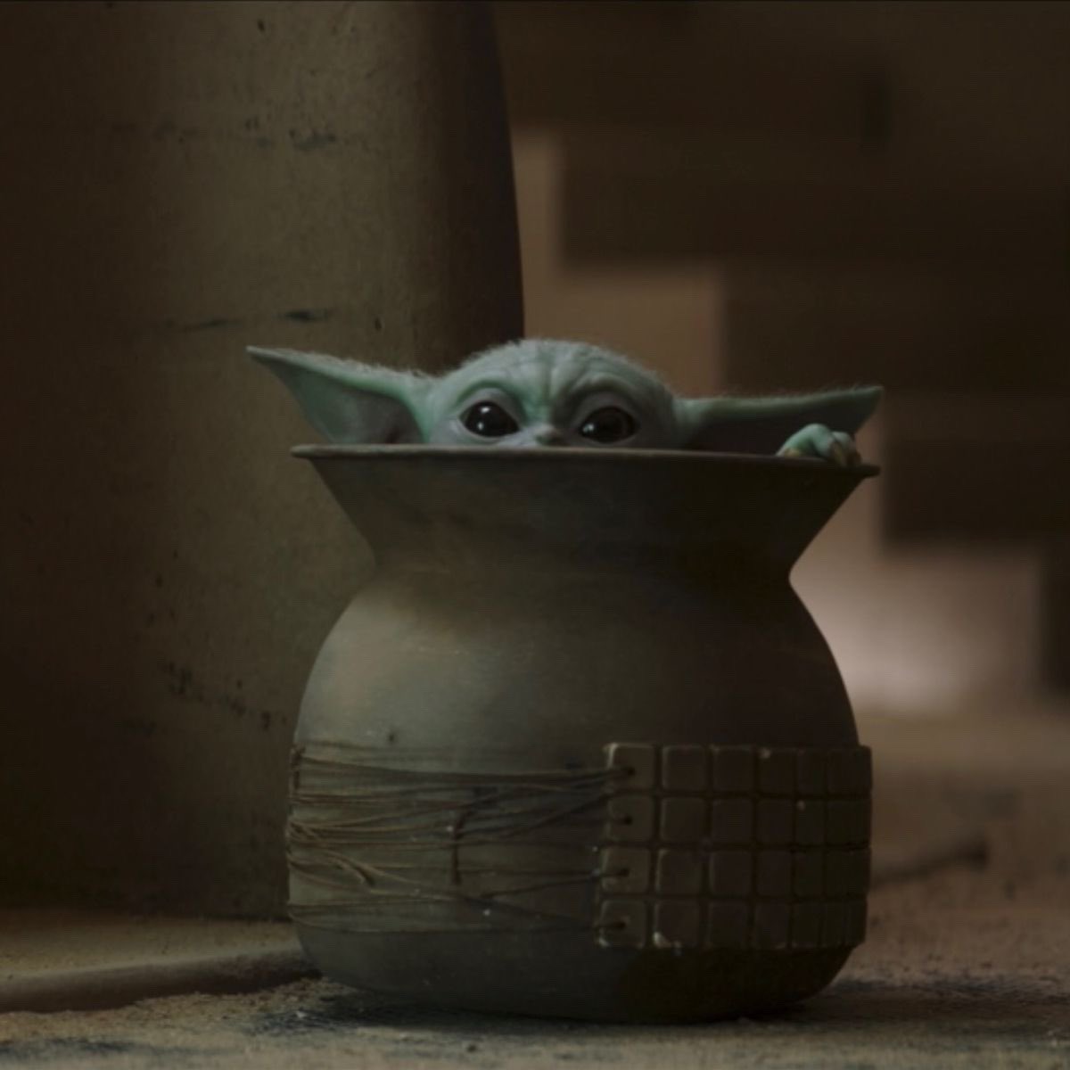 jared*⸆⸉ ꕤ ahsoka council tweet media