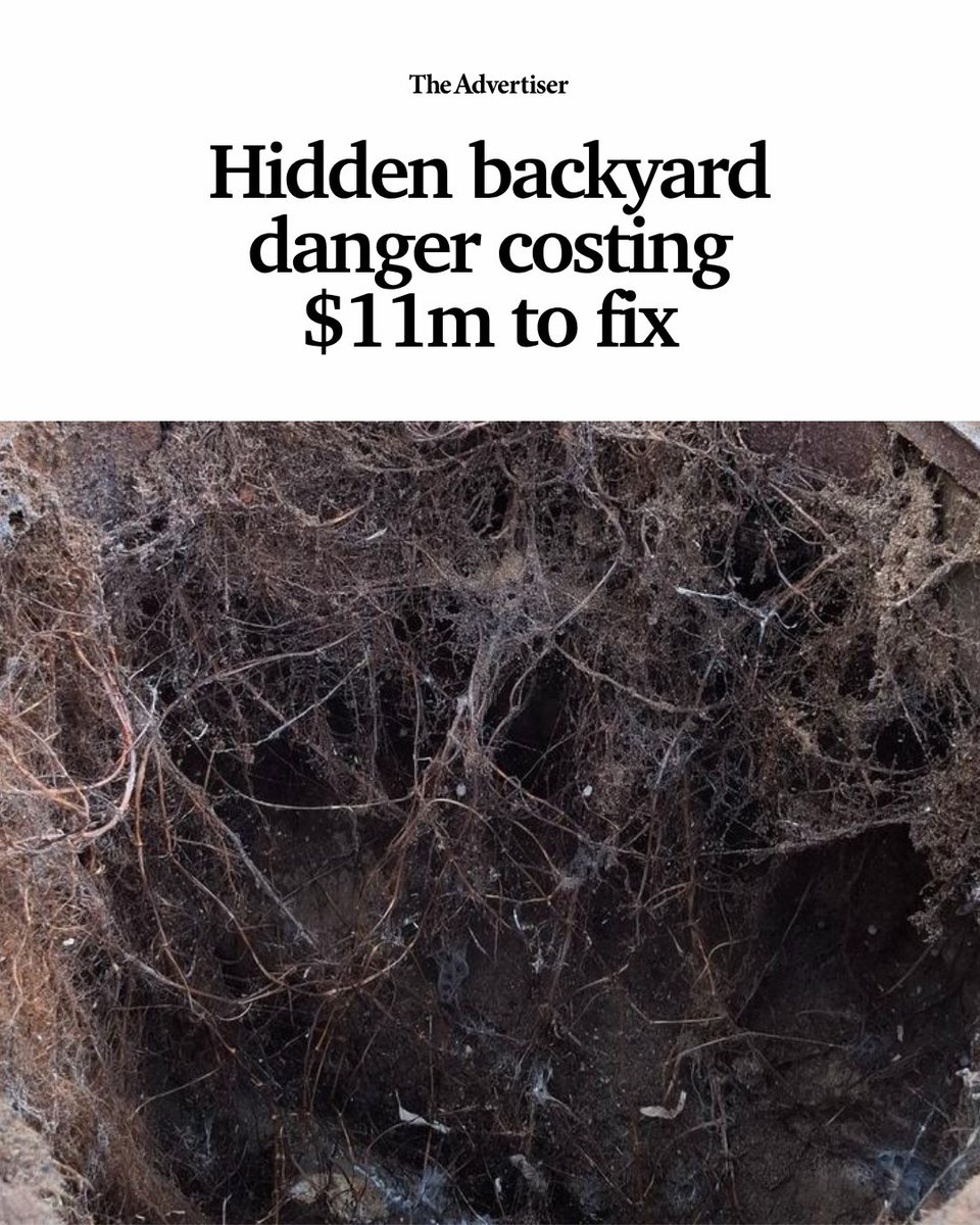 The Advertiser tweet media