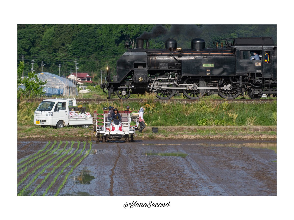 YanoSecond's tweet photo. 大川渓谷を下って会津若松へ
52年ぶりに帰って来た汽笛

2026/05/25 試9116 C11 325＋茶編成＋DE10 1109
「SL大樹土津」試運転 https://t.co/VzOv8dyiXa