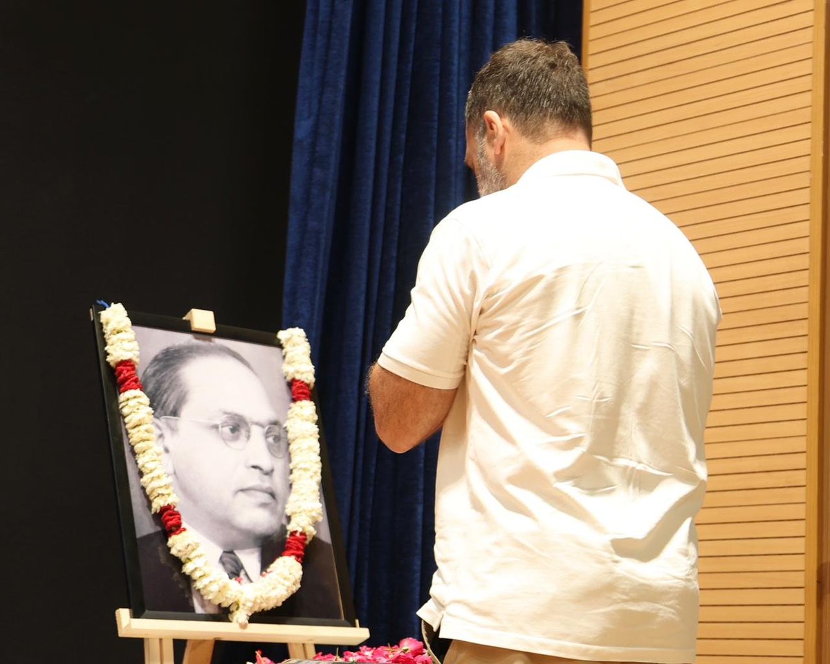 Lutyens Media tweet media