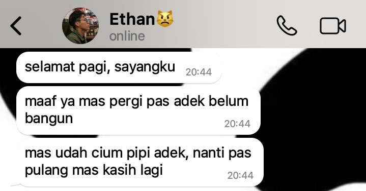hauna tweet media