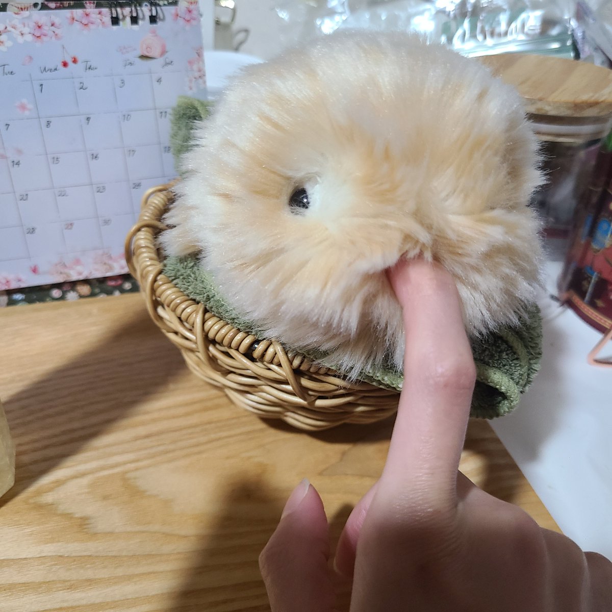 今日もうららがかわいい tweet media