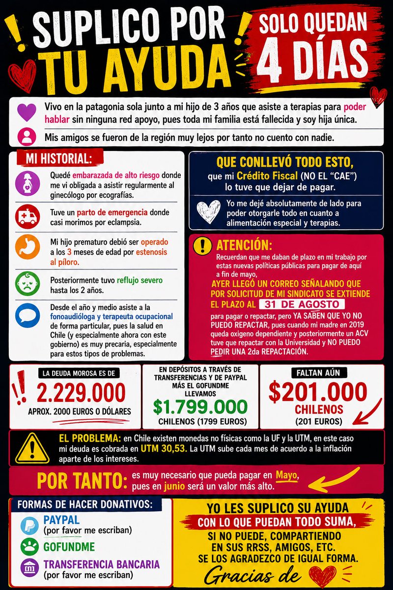 Patagona Nortina tweet media