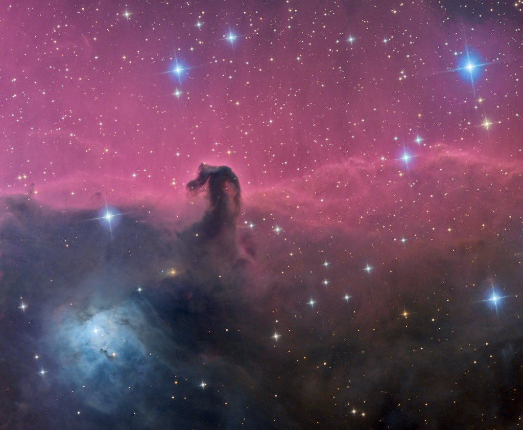 astropics's tweet photo. The beauty of the Horsehead Nebula 🥹 https://t.co/GbhFnqZvbJ