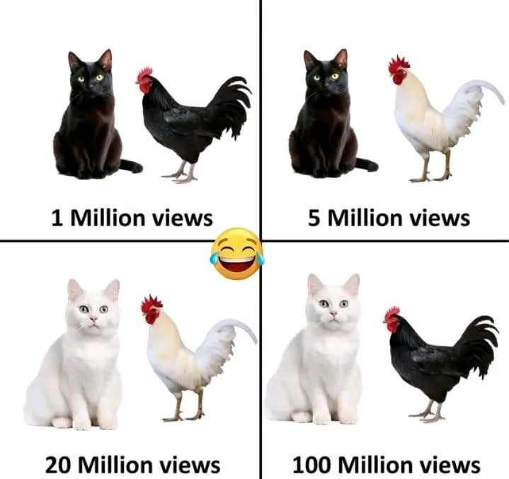 casmirtheking_'s tweet photo. If you understand this image, Your heaven is view once.😂😂 https://t.co/OAUeOzvAbF